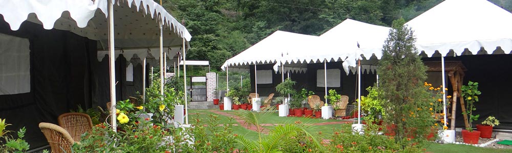 Camping in Rishikesh