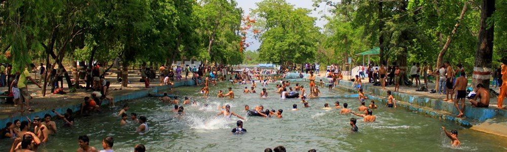 Lachhiwala